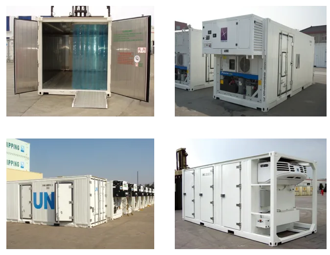 TLS reefer container